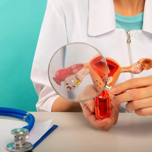 Male doctor showing a model female reproductive organs using magnifying glass. Early diagnosis and treatment.